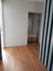 Illoura (D10), Terrace #411474561
